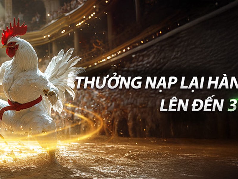 Hoàn trả hàng ngày mcw678 casino
